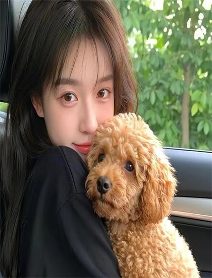 免费高清直播在线观看_依兰爱情故事电影